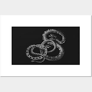 Poisonous Black Snake Posters and Art